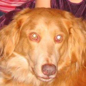 Meet your Posher, Lydia